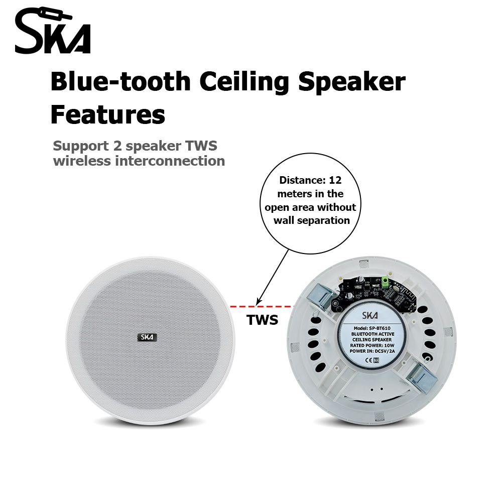 سقف سمّاعات بلوتوث 6 بوصة 10 و - مراجعة Home Cinema Speaker System وسعره