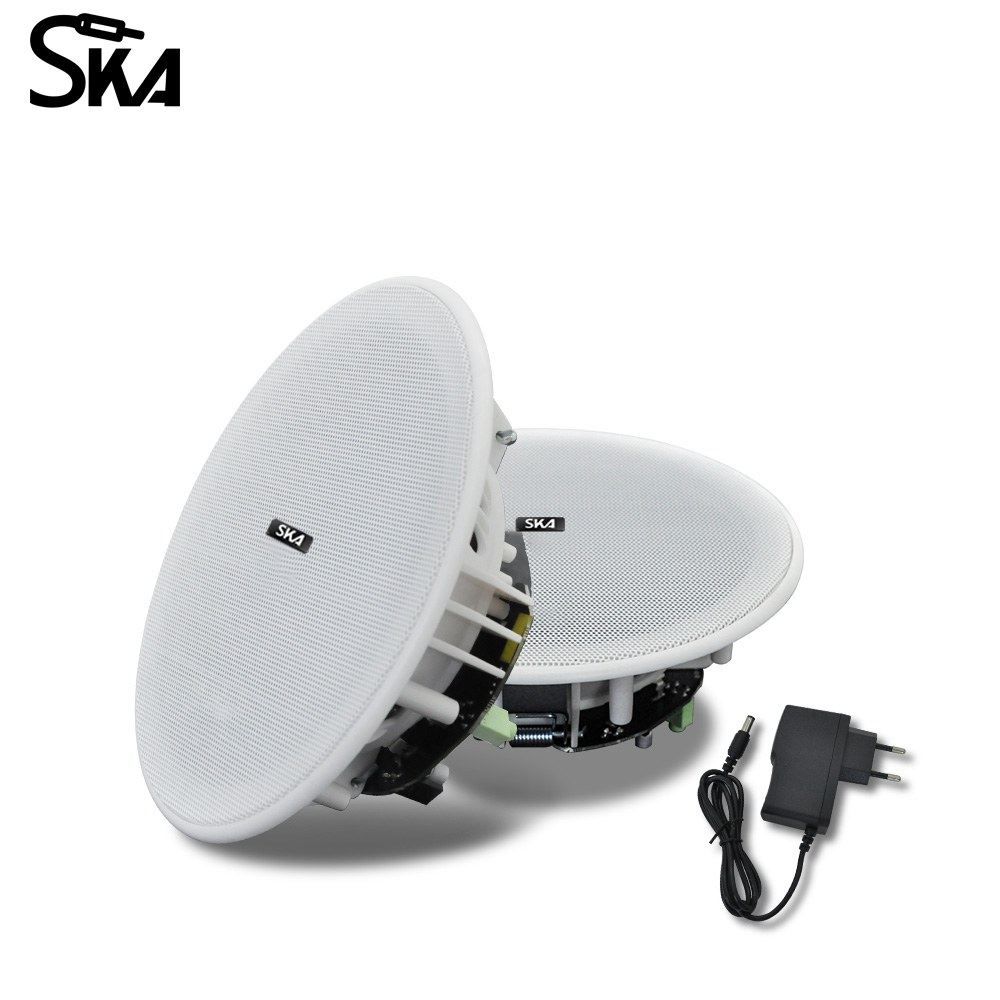سقف سمّاعات بلوتوث 6 بوصة 10 و - مراجعة Home Cinema Speaker System وسعره